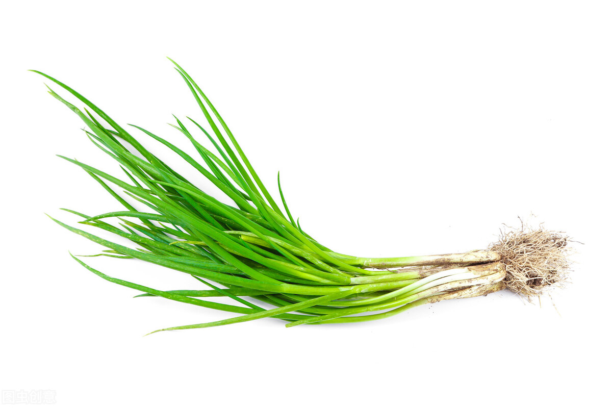 掉色葱有什么危害,野生葱的危害有多大