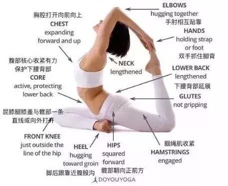 脾胃虚弱瑜伽调理,10个人9个脾虚