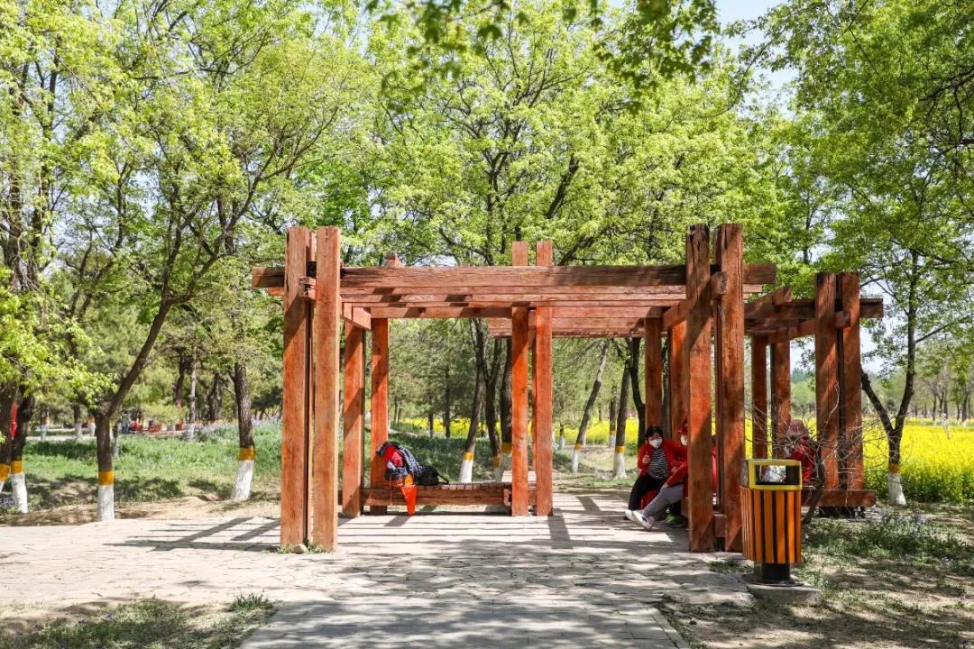 北京人少景美赏秋的公园,北京赏秋中山公园