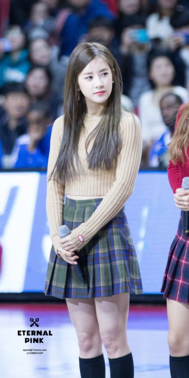 一百团女团成员,apink出道时的介绍