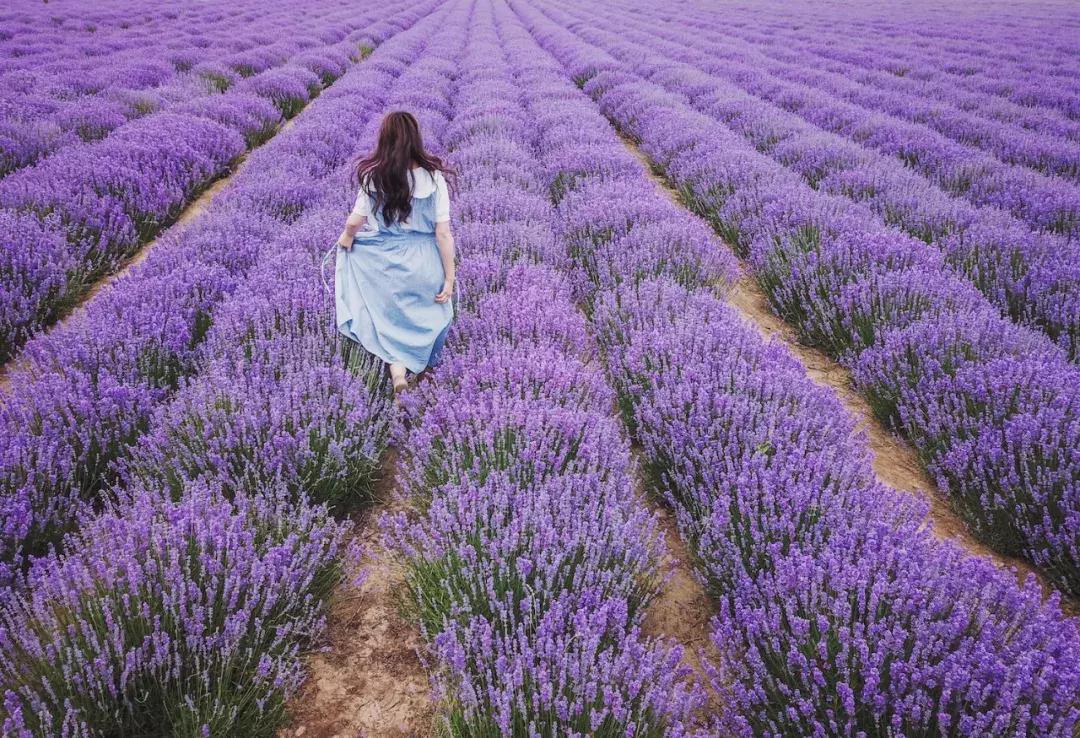 跟着cc一起去旅行吧,跟着摄影团去旅游