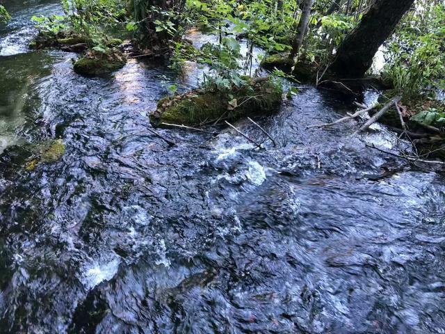 巴尔干半岛和阿尔巴尼亚,伯罗奔尼撒半岛和巴尔干半岛