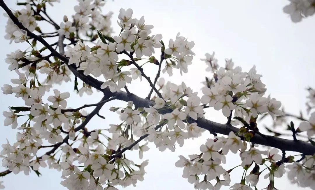 晋城司徒小镇异域风情,晋城皇城相府和司徒小镇