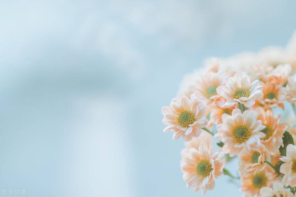 遇到精明婆婆媳妇应该怎么做,不懂人情世故的婆婆怎么相处