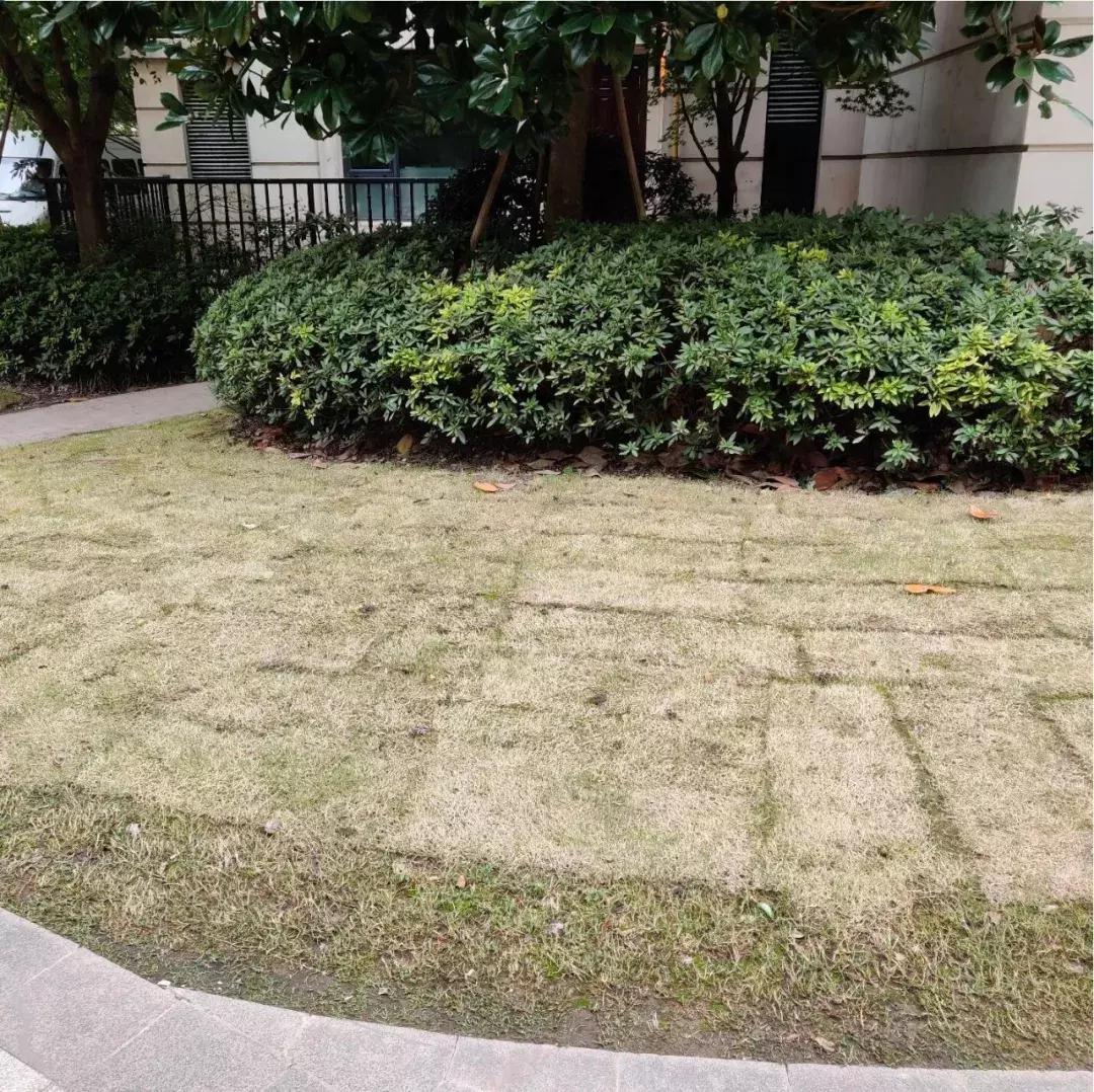 做产品的开发商，快没了