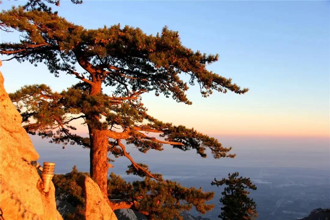 东峰二号观景台怎么到西峰索道,东峰观日结束怎么去西峰索道