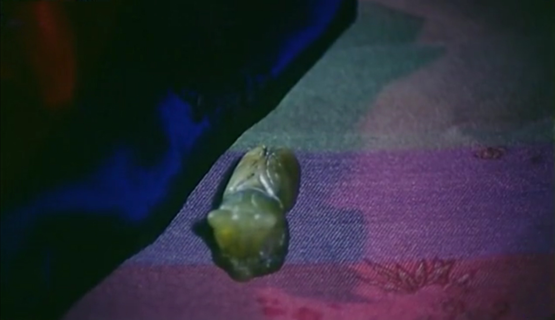 最丑恶的电影,揭露人性的国产电影前五部