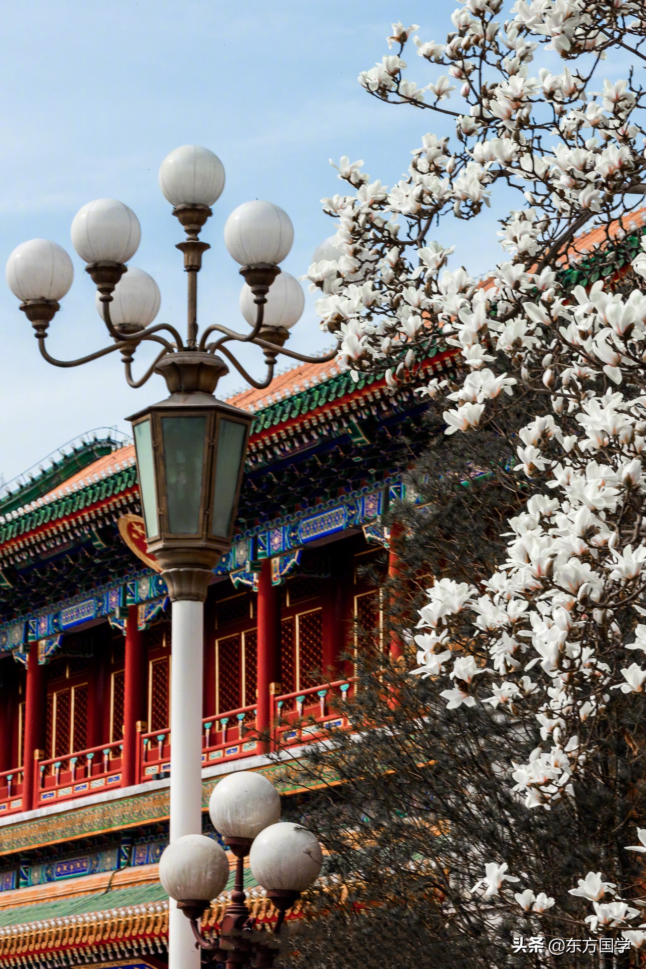 北京四月赏玉兰花的地方,北京赏玉兰的地方