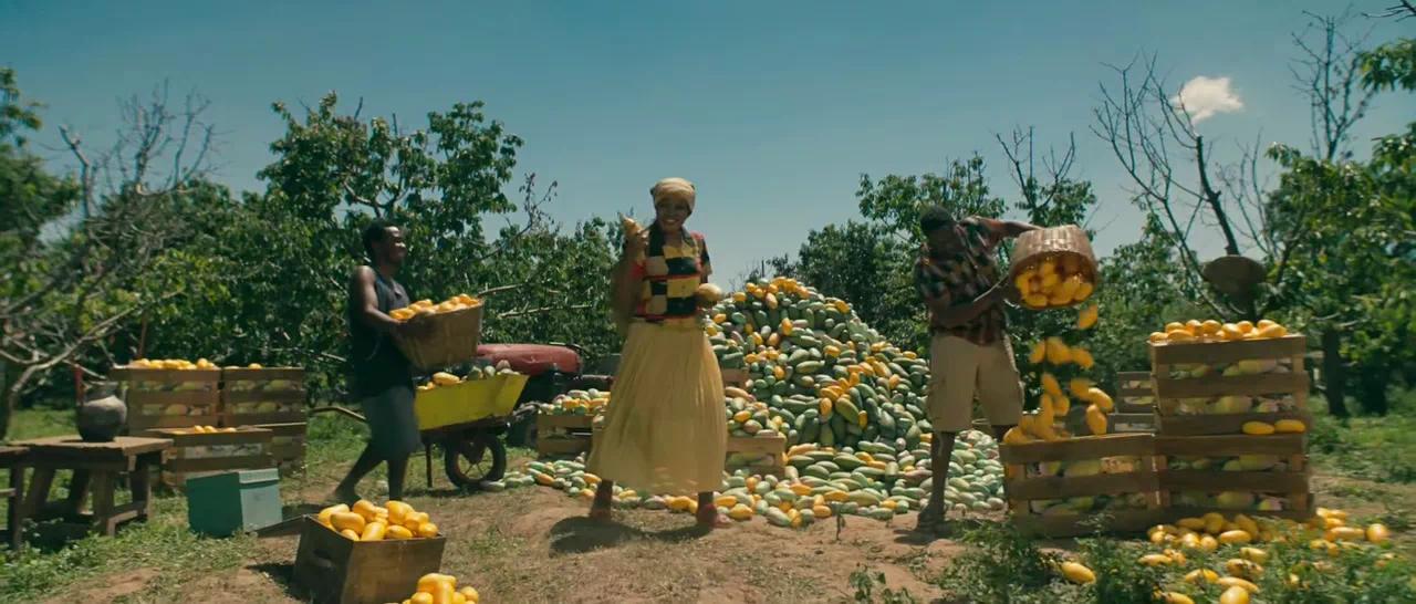 空姐导游变身主播？天猫国际整合出境游资源“重连全世界”