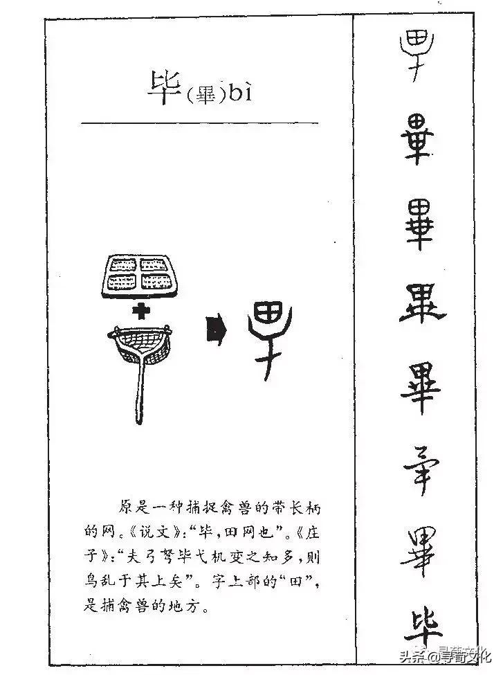 毕-汉字的艺术与中华姓氏文化荀卿庠整理