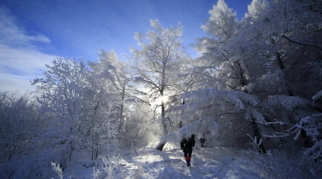 漠河最冷地方是哪里,漠河绝对是中国最冷的地方