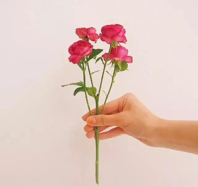 给情人发伤心的晚安暖心话,和情人道晚安暖心话