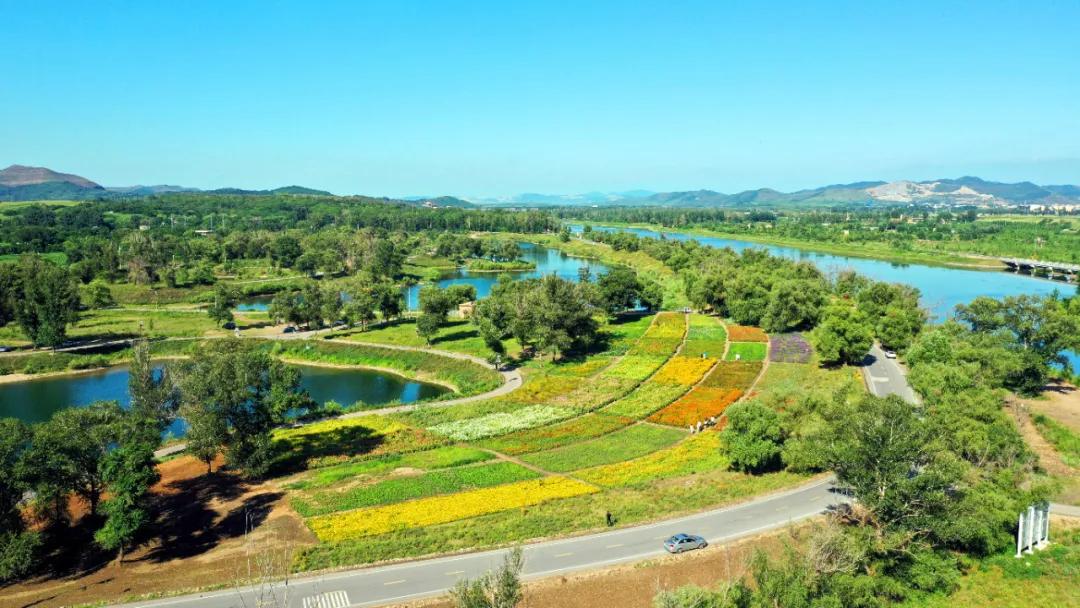 主动担当作为全面打赢创城攻坚战,精准施策靶向发力创城