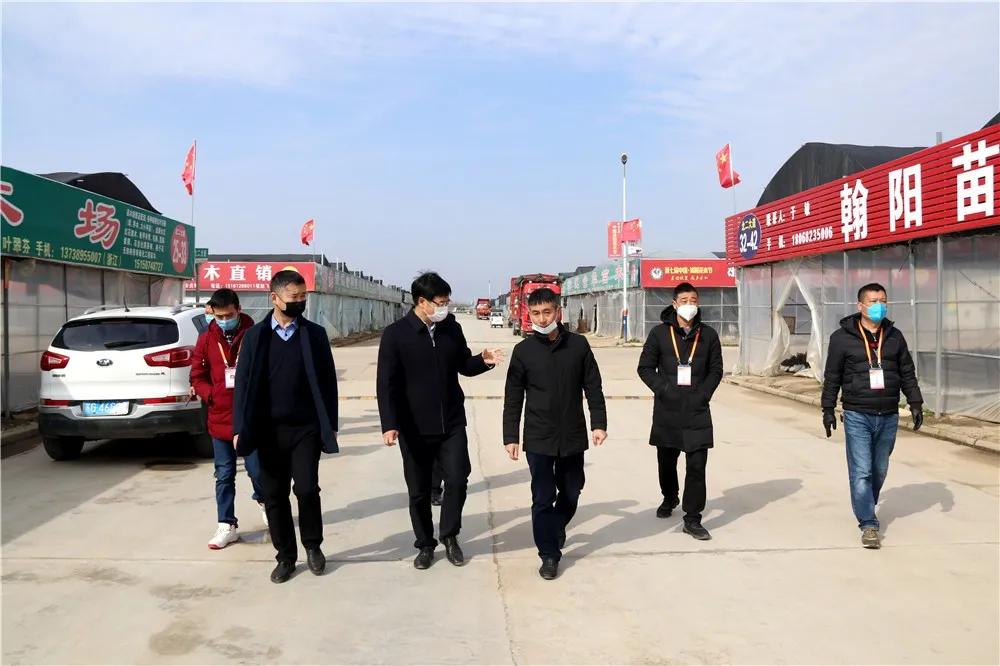 中国沭阳国际花木城在哪个城市,沭阳花木城的发展