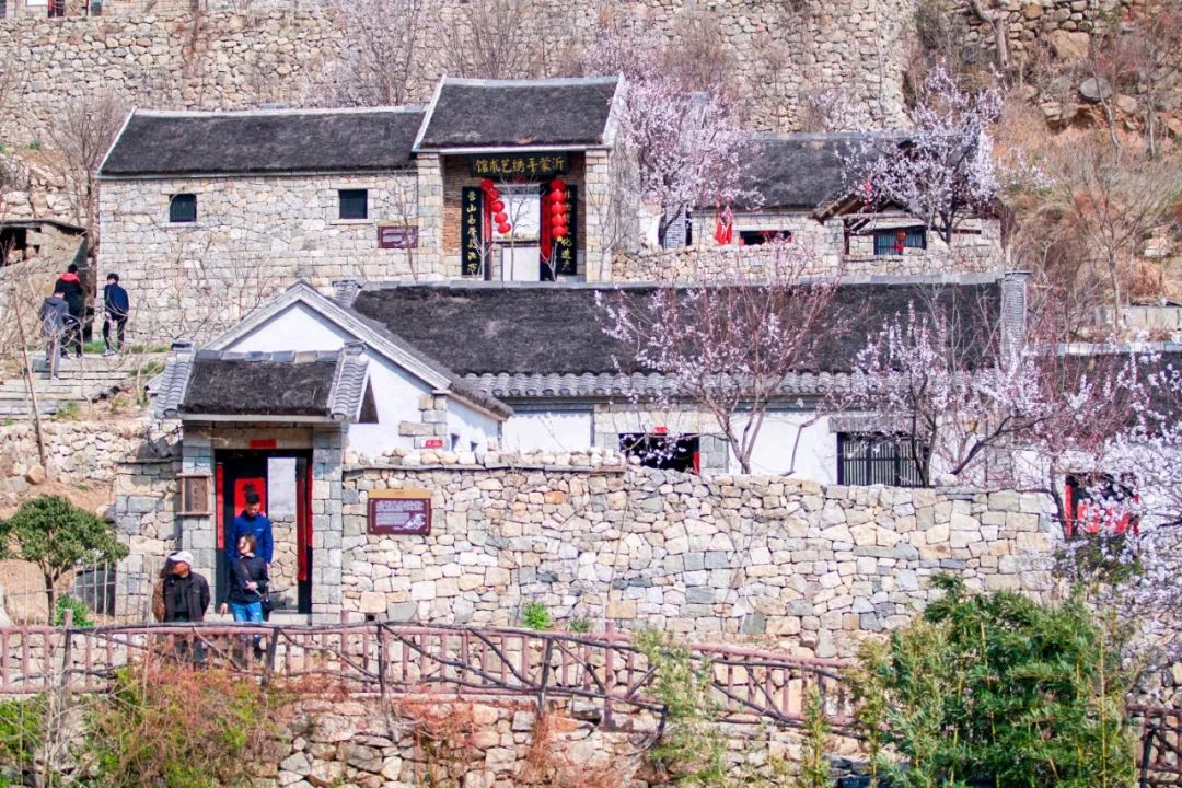 天蒙山踏青赏花,蒙山景区赏花