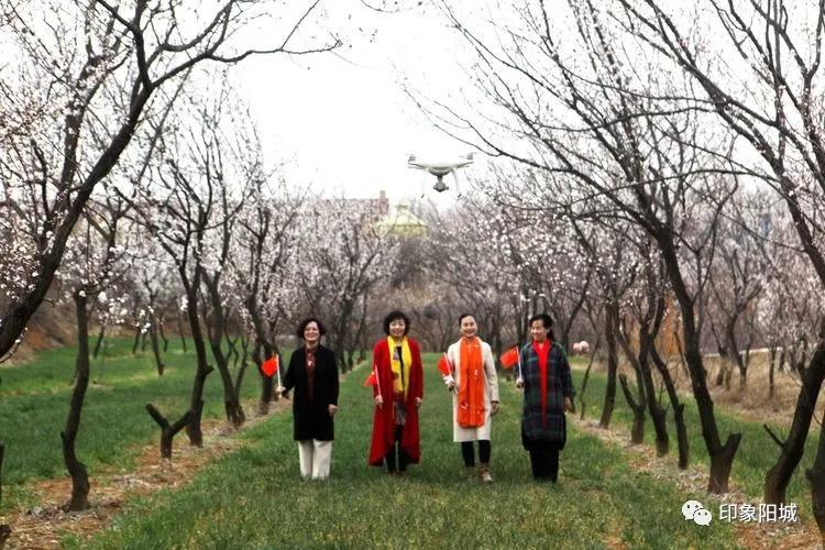 晋城哪里可以春游,晋城附近春游景点