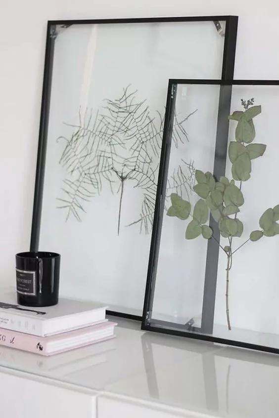 她用这种高颜值的干花装饰家里,隔壁邻居都惊叹不已