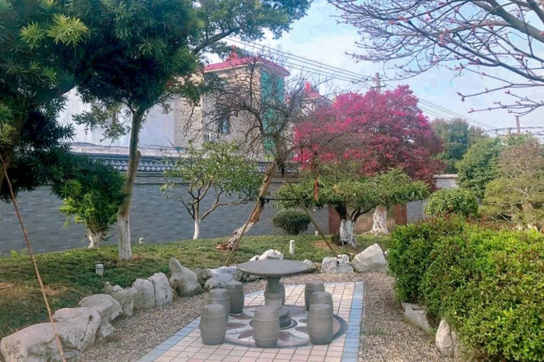 江阴最美院子图片,无锡江阴最美院子
