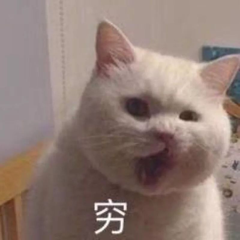 平替|传说能养肤的covermar*粉k**底液，要被红地球吊打了