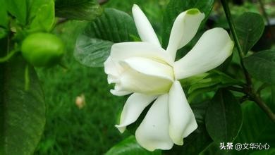 每日原创诗词一首,每日成诗