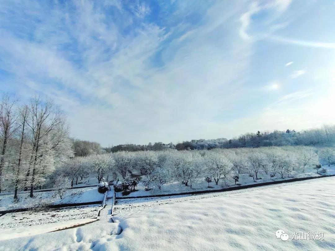 替你“打卡”!疫情中的光山雪景