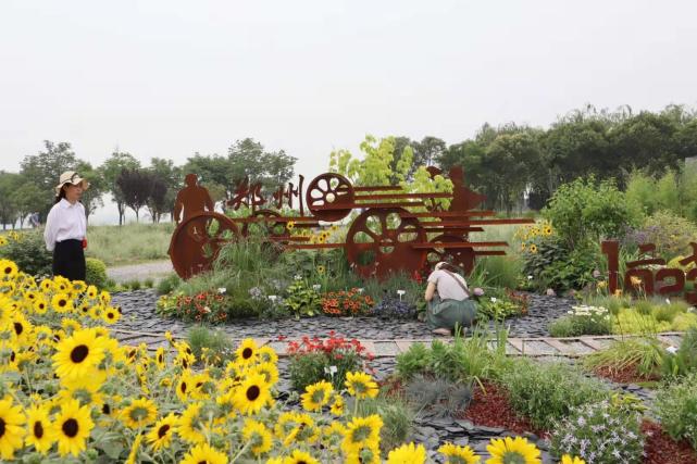 郑州值得打卡的免费公园,郑州网红打卡圣地蝶湖森林公园