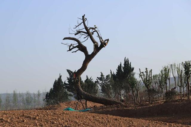 浠ユ按娑﹀煄,娑﹀煄娌抽亾娌荤悊宸ョ▼