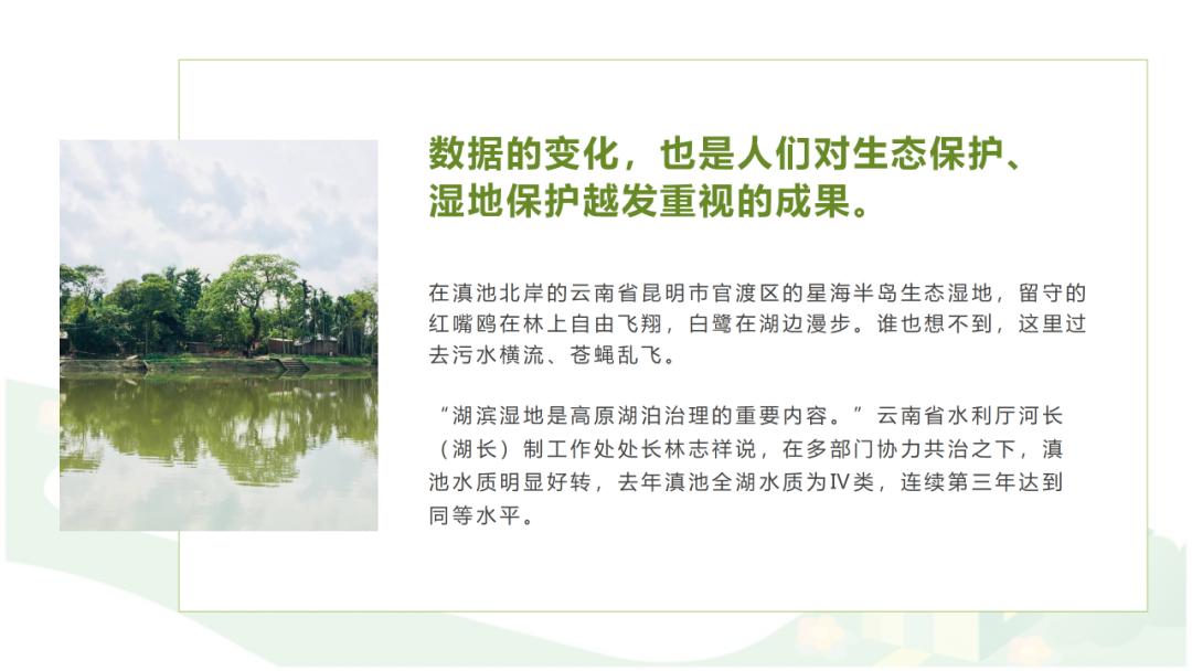 ppt文字太多怎么排版教学,ppt文字太多怎么排版