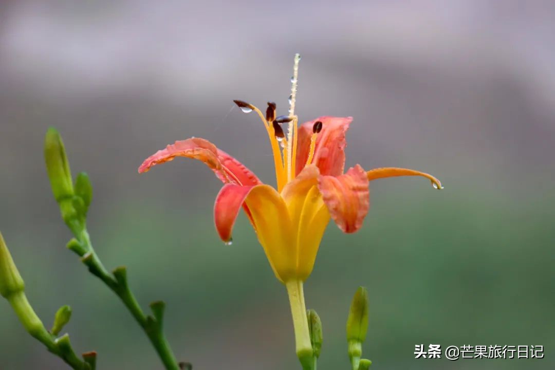 潮州的特色是什么,潮州各个地方特色