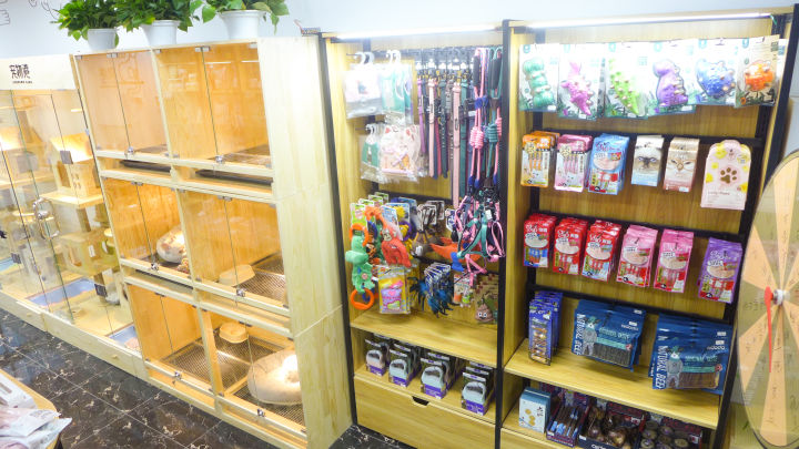 欧美风宠物店,温馨明亮的宠物店风格