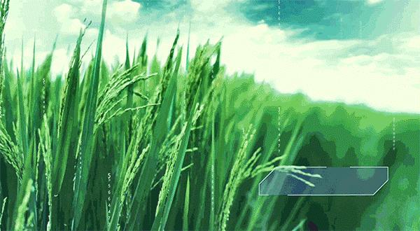 马化腾进军电商市场,腾讯马化腾下一步战略