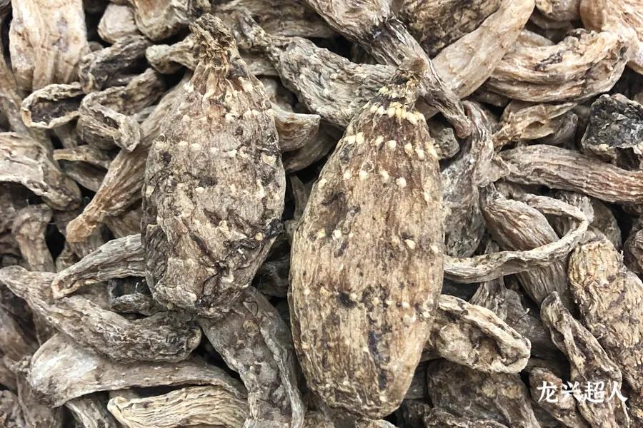 贵州的道地药材天麻,天麻属于哪里的道地药材
