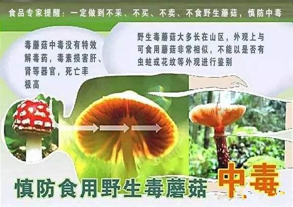 一顿饭吃了一百万全家付不起,一顿饭吃掉32万天价账单