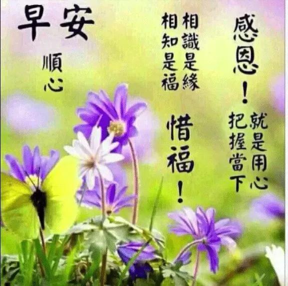 六月最近的早上好祝福语动态图片,新的五月份早上好问候图片