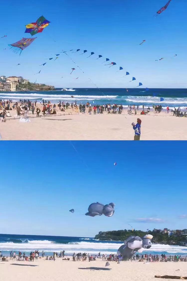 女教师裸辞后去农村,裸辞女教师