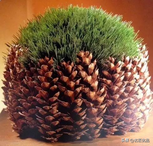 超简易手工环创,树干手工制作环创