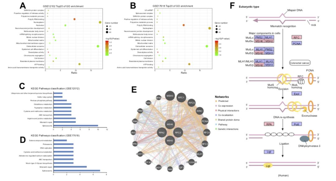 博士毕业神器3+分纯生信杂志：平均一审只要一个月，年刊量1000+