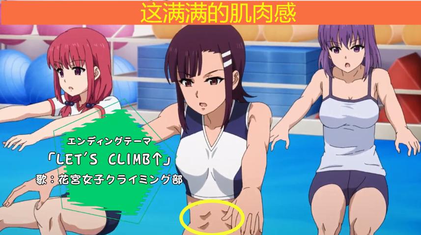 10月新番《攀岩少女》：教练，我想学攀岩，和她一起学