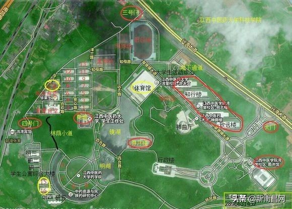 江西中医药大学回忆,现在的江西中医药大学