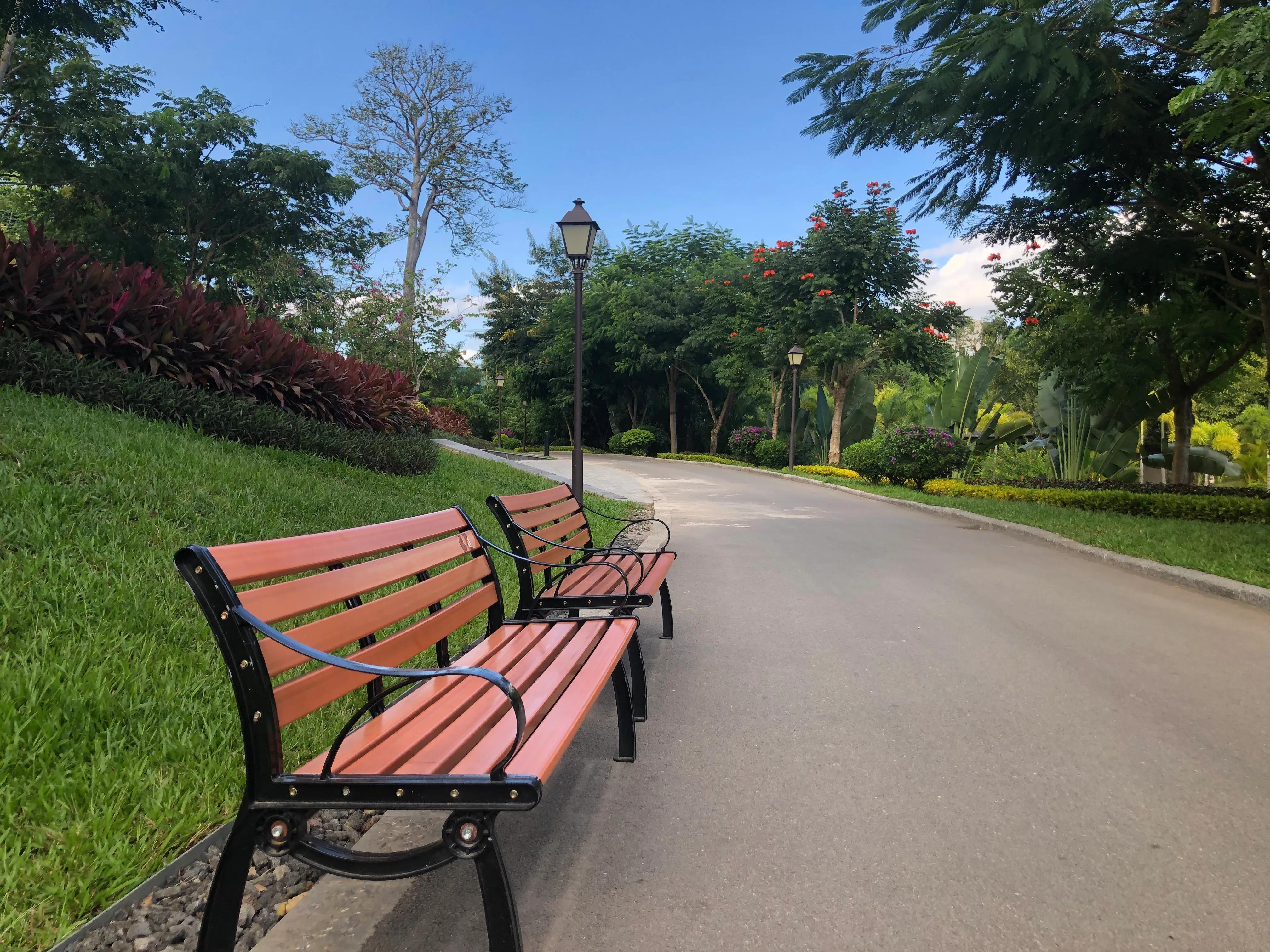 西双版纳租房应注意什么 (去西双版纳租房需要带什么)