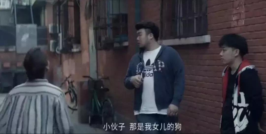 母亲把女儿的狗丢了,把女友的狗弄丢了