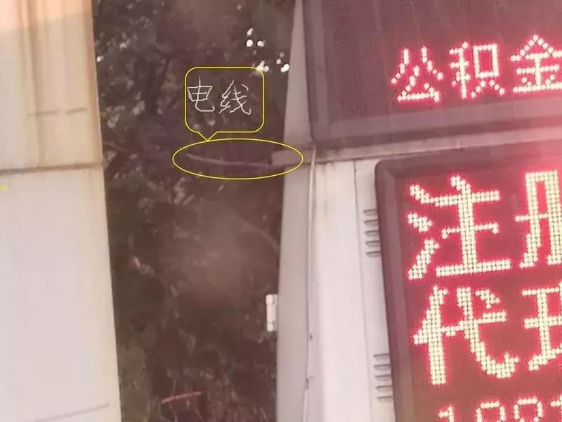 蹊跷！公积金取现、花呗取现...石龙路地铁站无牌面包车“神通广大”