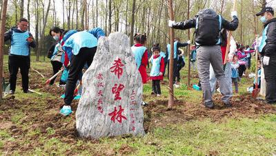 武汉植树高峰期,植树浪潮