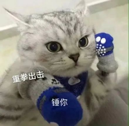 网上买猫咪体内驱虫靠谱吗,猫咪驱虫药宠物店有卖吗
