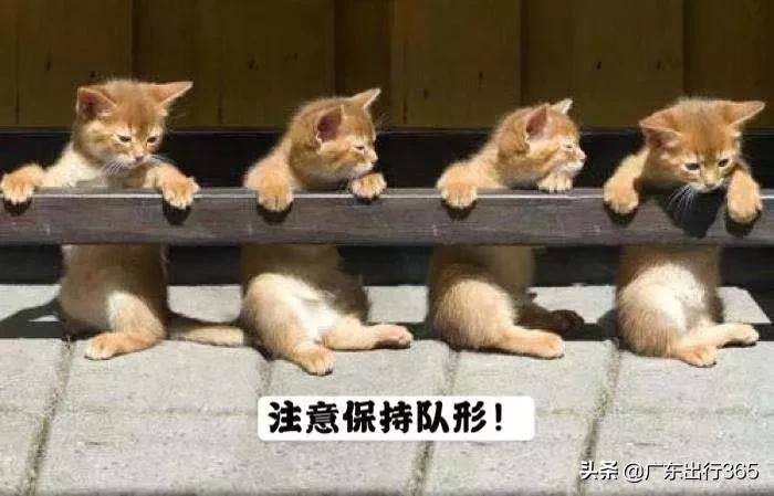 汽车票电子票怎样坐车,微信网上订汽车票流程