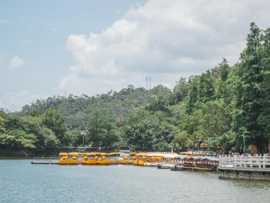 江门郊外散步,江门适合散步的地方