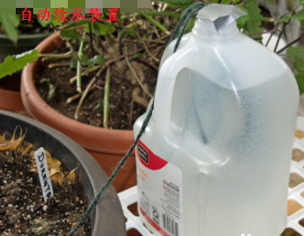 自制给花浇水神器,懒人养植物神器