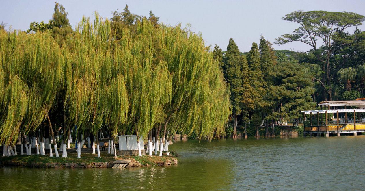 顺景酒店的花园客房,顺景酒店宴会中心