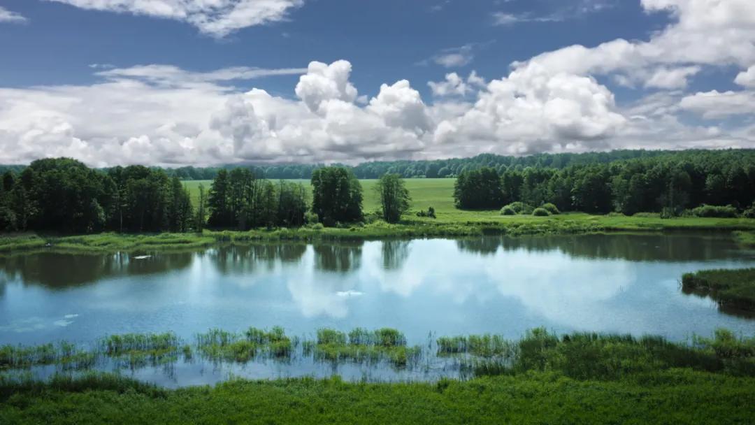 HiPP德国喜宝亮相进博会，这次带来了什么？