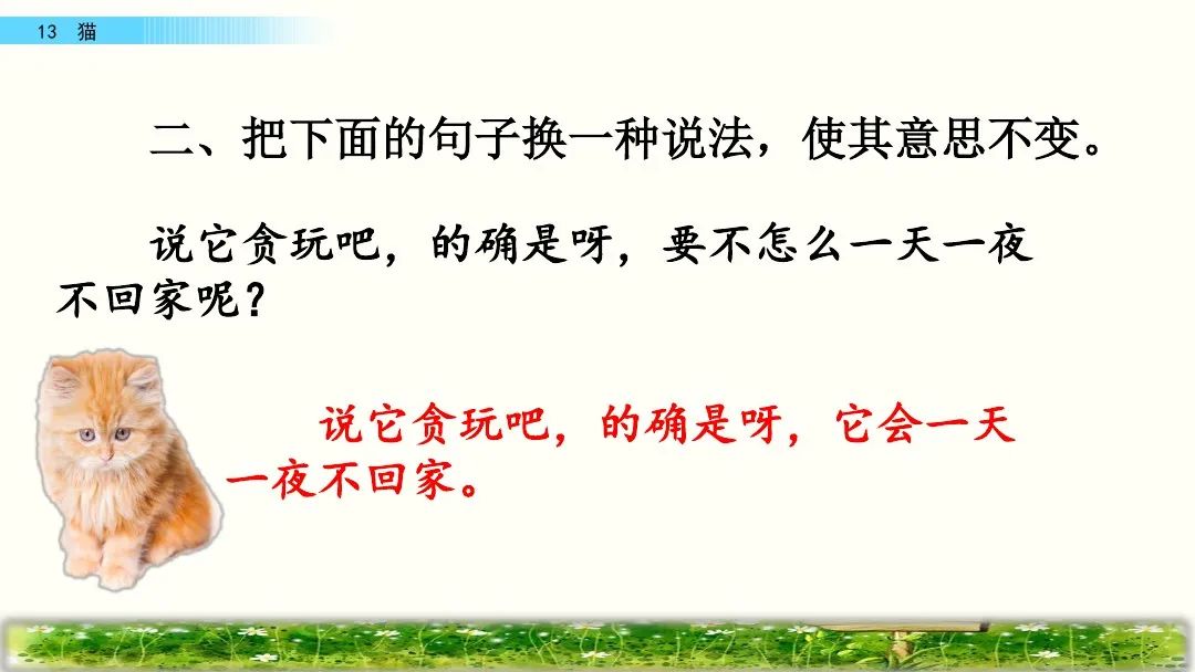 四年级下册语文13课猫课文解析,部编版四年级下册13猫教学视频